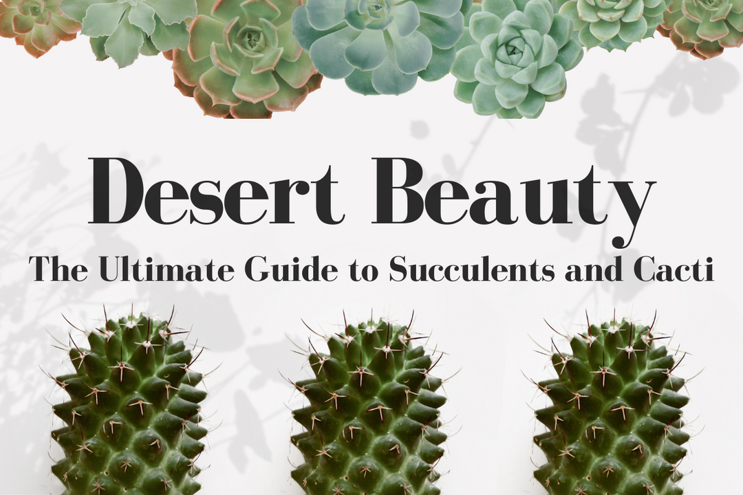 Desert Beauty: The Ultimate Guide to Succulents and Cacti