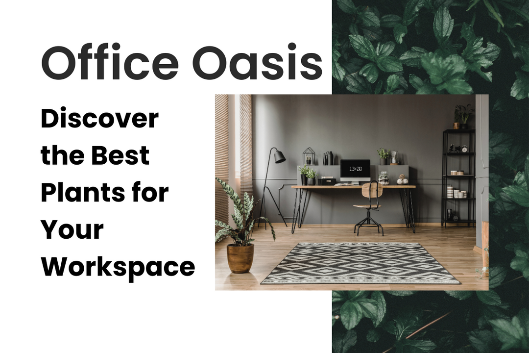 Office Oasis: Discover the Best Plants for Your Workspace