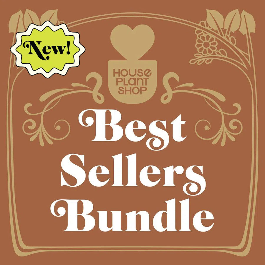 Best Selling Bundle-Bundle-American Plant Supply