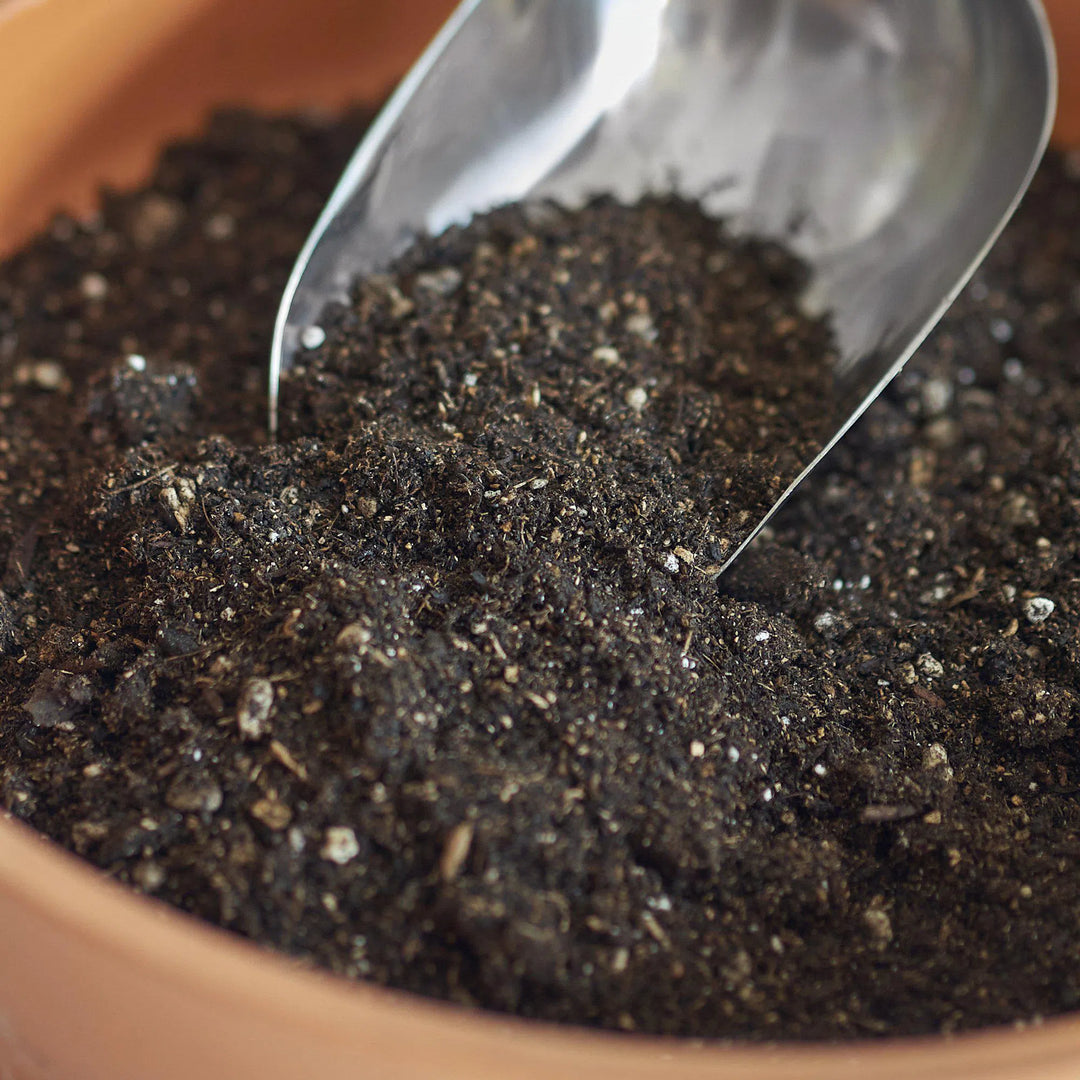 Indoor Plant Potting Soil - Puck-American Plant Supply