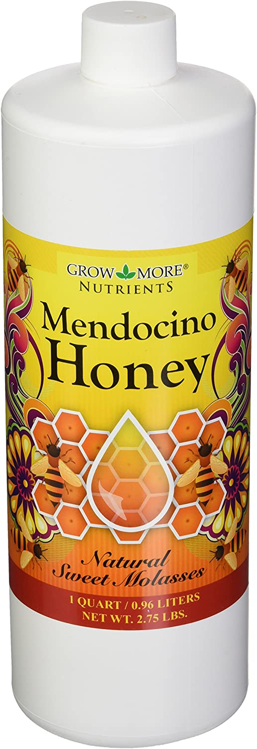 Mendocino Honey Qt