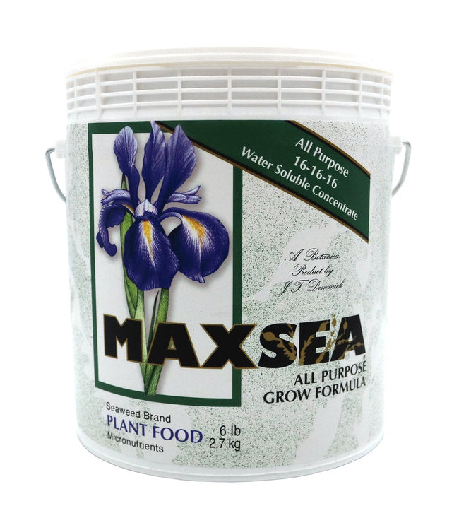 Maxsea All Purpose Plant Food 6 lb (16-16-16)