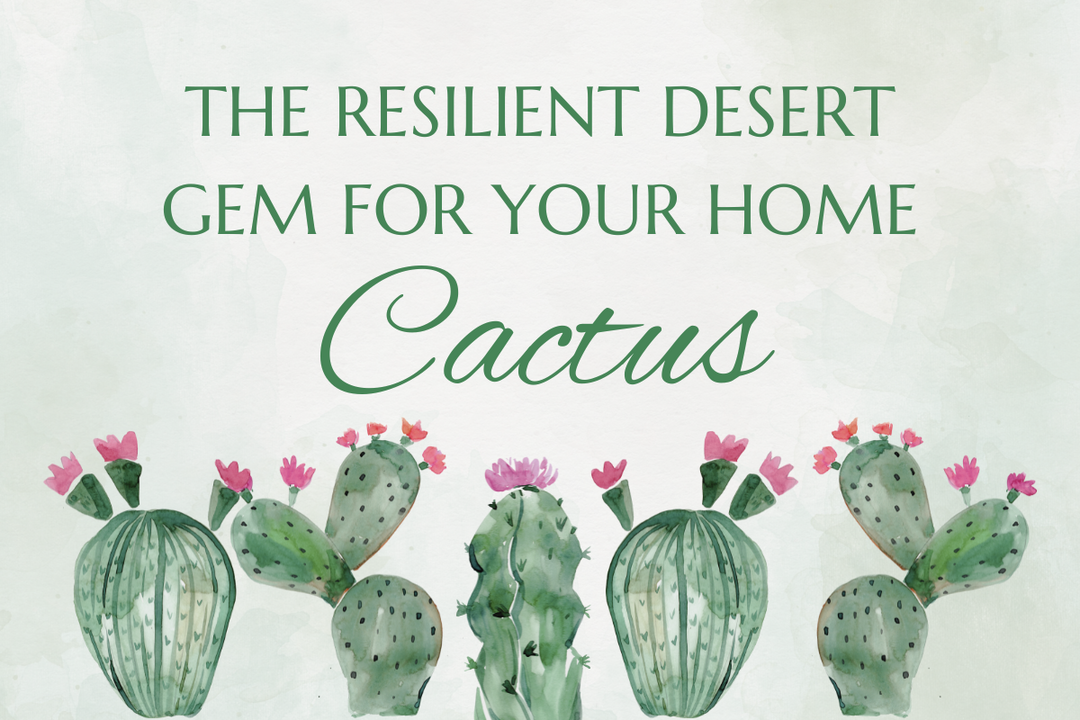 Cactus: The Resilient Desert Gem for Your Home