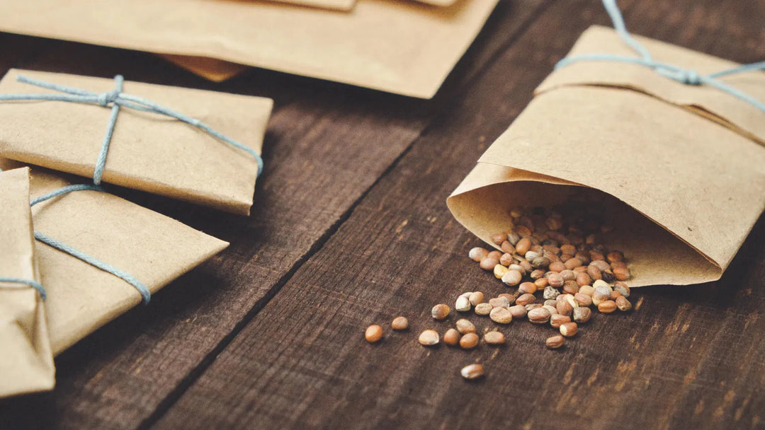 Seed Packet-American Plant Supply