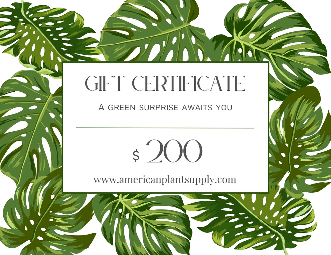 American Plant Supply E-Gift Card-200.00-American Plant Supply