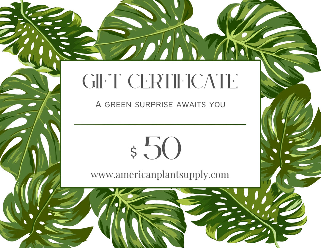 American Plant Supply E-Gift Card-American Plant Supply