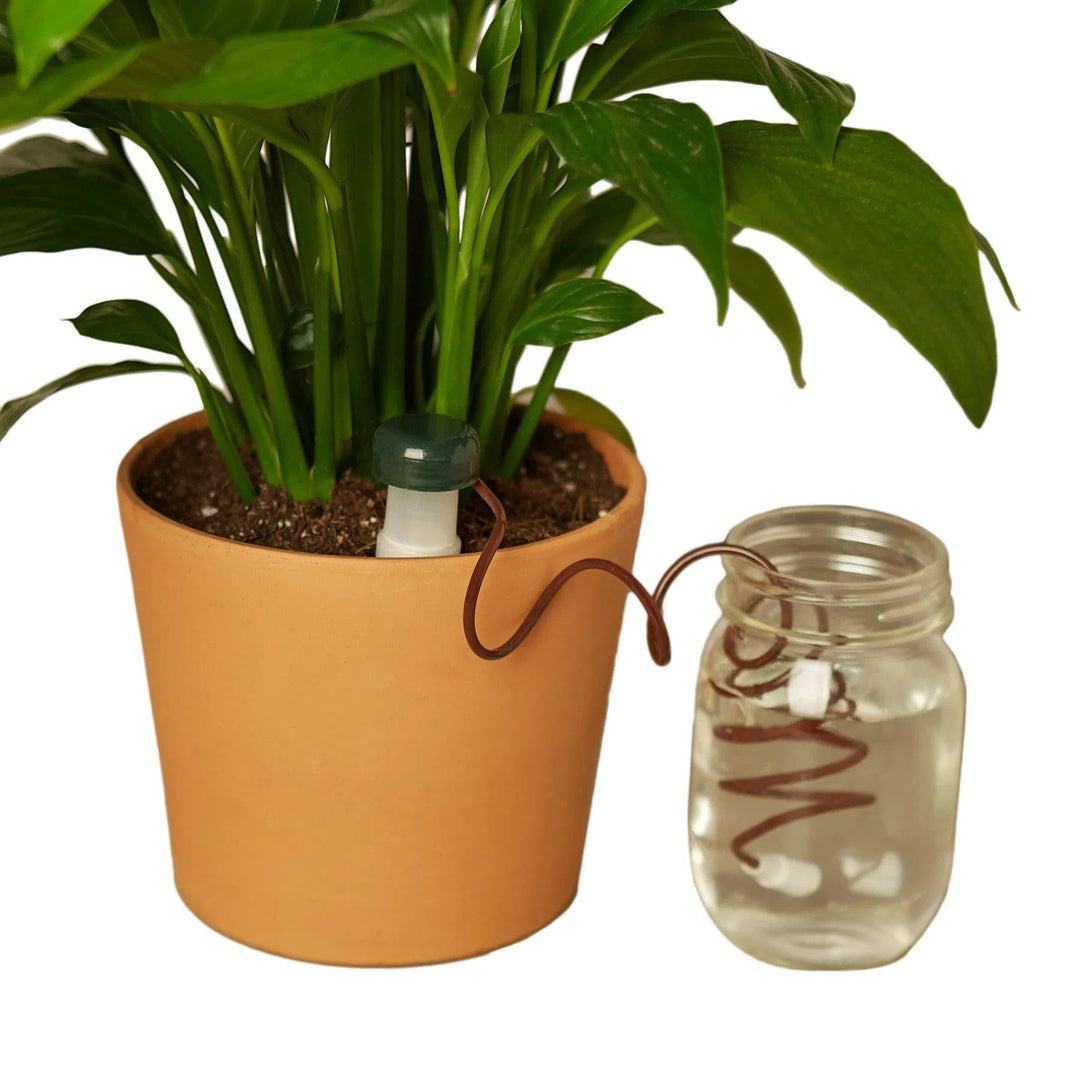 Automatic Plant Waterers-Default-American Plant Supply
