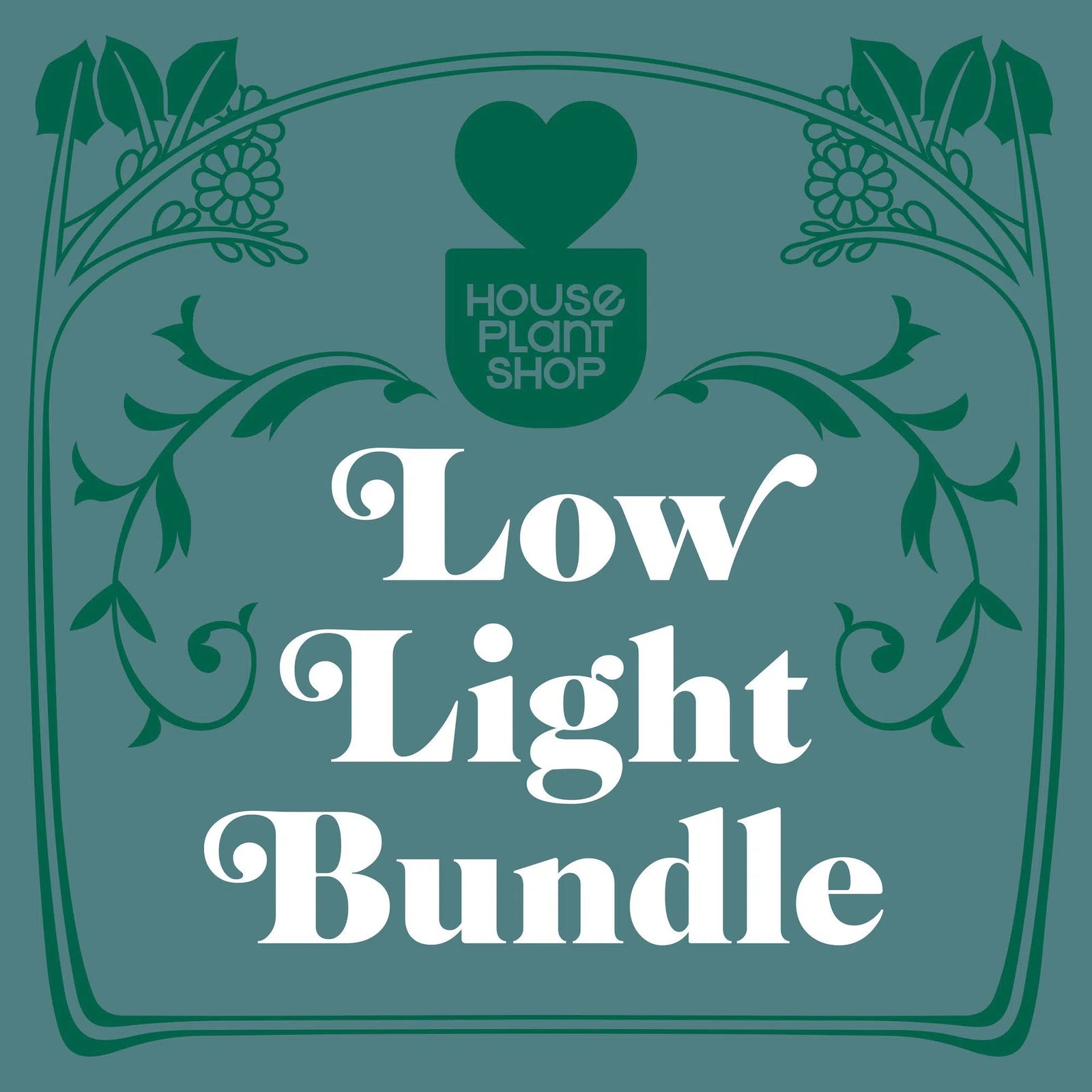 Low Light Bundle-4" Plant (4)-American Plant Supply