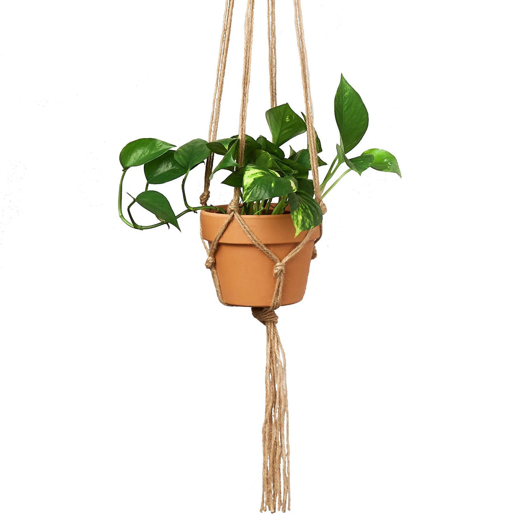 Macrame Hanger - Designed for 5 - 7 inch Planters-Garden Supplies/Accessories-American Plant Supply