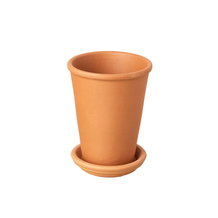 New Plant Parent Bundle-4" Plant (2)-American Plant Supply