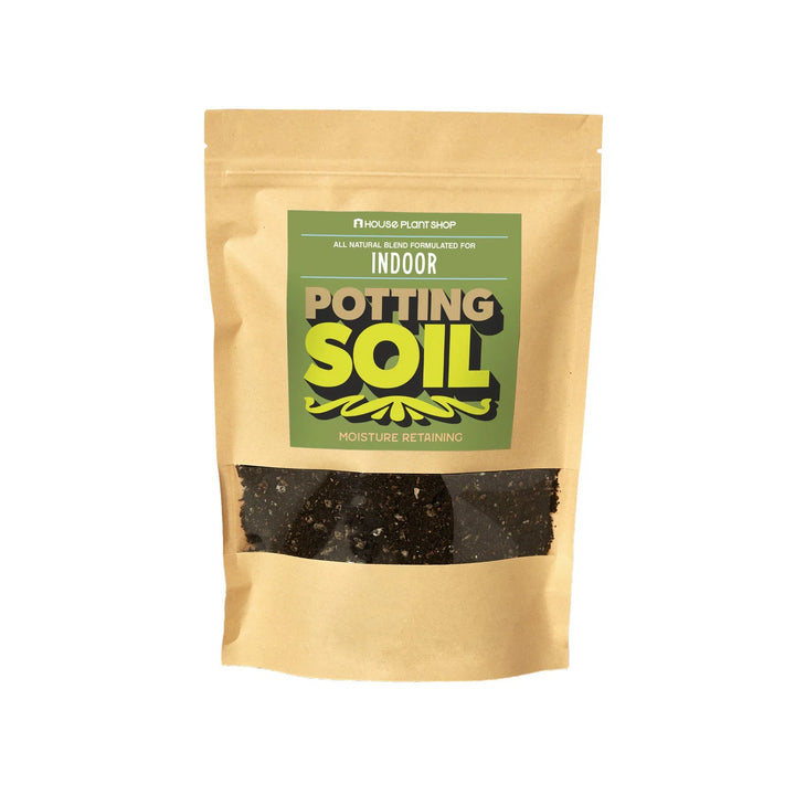New Plant Parent Bundle-4" Plant (2)-American Plant Supply